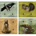 thumbnail image 3 of Crosman Varmint Shooting Targets, 20 Count, 9.75" x 9.0", .01 LBS, 0496, 3 of 7