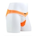 thumbnail image 5 of TANBOM Men's Regular Triangle Mesh Underwear Breathable Assorted Colors XL 4-pack, 5 of 5