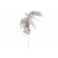 thumbnail image 4 of Maison Concepts Natural Dry Pampas (Gray) 2" X 1" X 25" -Set of 6, 4 of 4