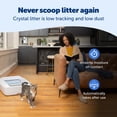 thumbnail image 6 of PetSafe ScoopFree Crystal Plus Self-Cleaning Cat Litter Box, Hands-Free Cleanup, 6 of 11