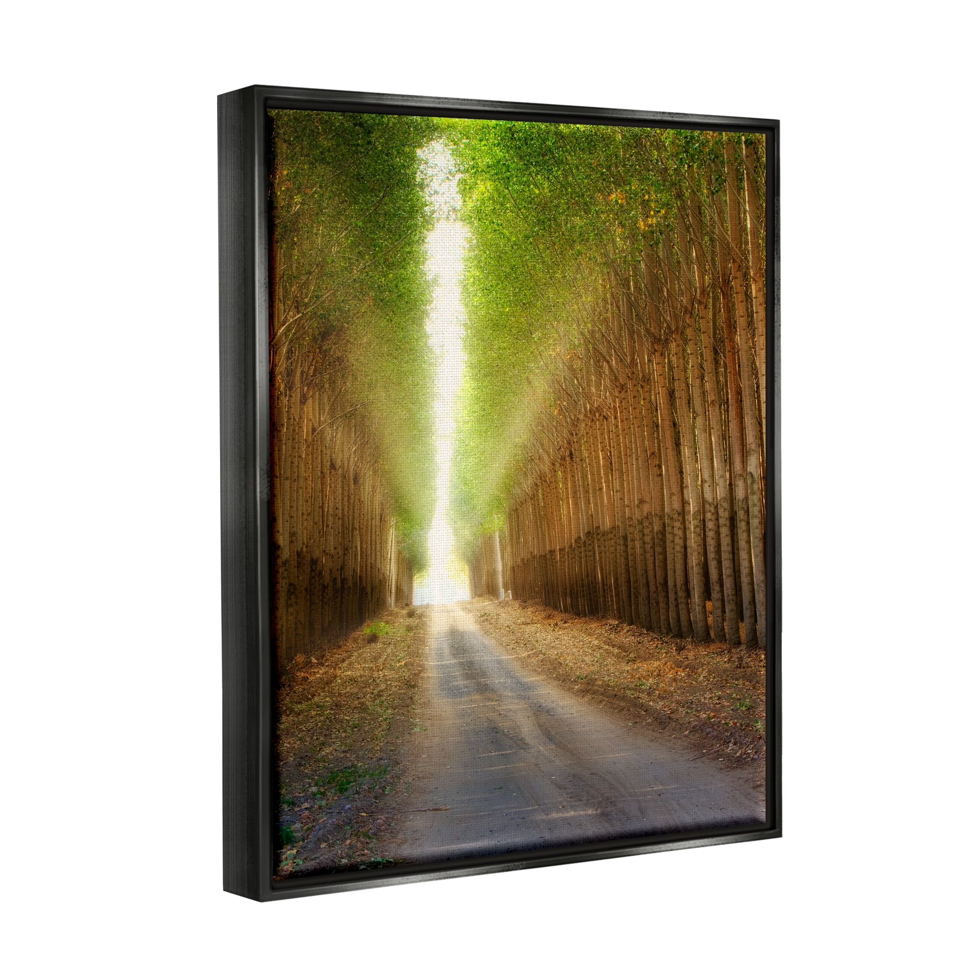 Stupell Industries Sunlit Tree Grove Pathway Landscape Photography Black Floater Framed Art Print Wall Art