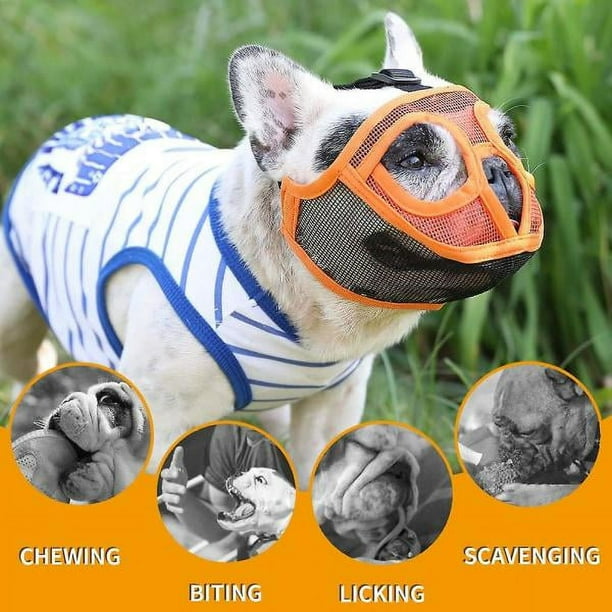 Bozal Perros Pequeños - Transpirable, Ajustable, Para French Bulldog, Pug, Shih Tzu