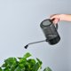 thumbnail image 2 of Regadera de 1 litro, regadera cilíndrica transparente con pico de acero inoxidable, herramienta de riego de plantas de jardín para plantas de interior, plantas de oficina, interior y exterior TUNC Sencillez, 2 of 5