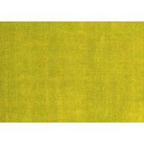 Ahgly Company Indoor Rectangle Oriental Yellow Modern Area Rugs, 5' x 7'