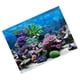 thumbnail image 5 of Fondo de Acuario, Fondo de Pecera, Pecera de Doble Cara para decoraciones de Peceras, Varios Tamarimos, 5 of 7