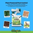 thumbnail image 2 of Natrapest Mosquito, Flea & Tick Yard Spray - Essential Oil Outdoor Repellent - 32 FL OZ, 2 of 6