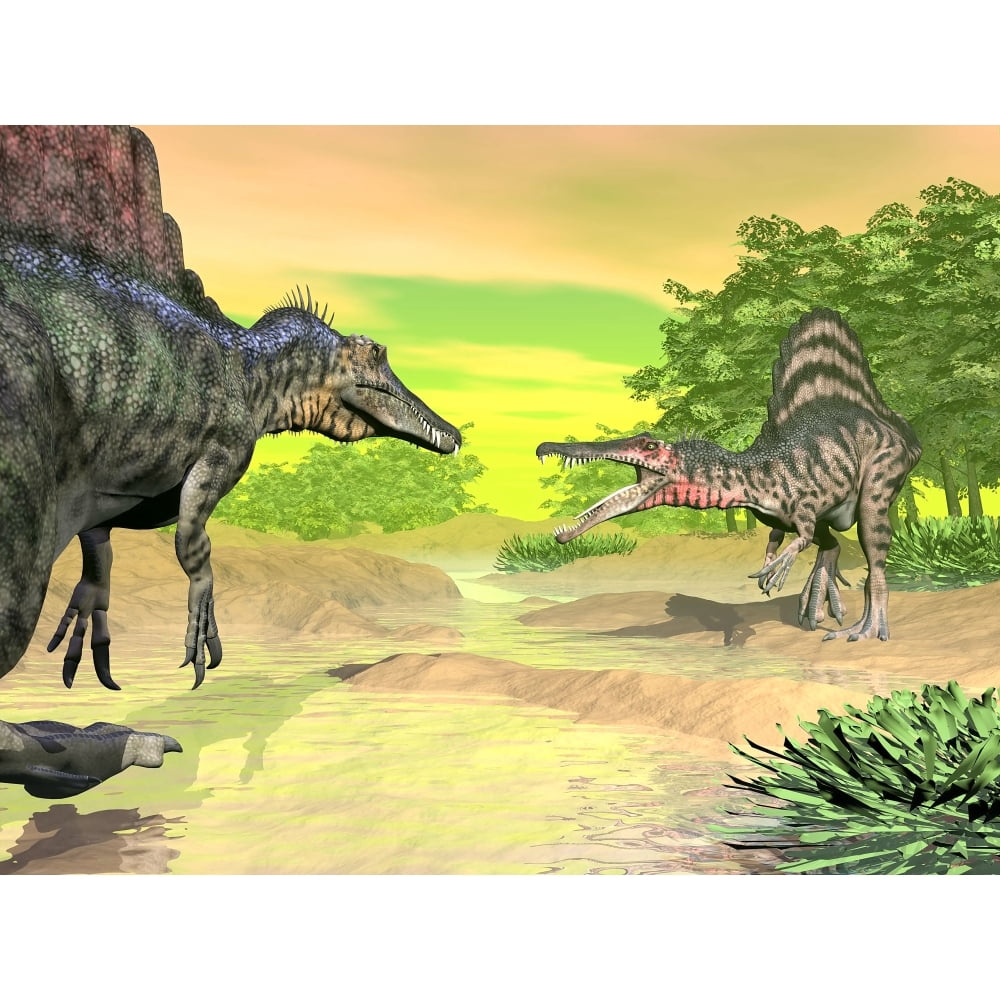 Two Spinosaurus dinosaurs confront each other face to face in a prehistoric environment Poster