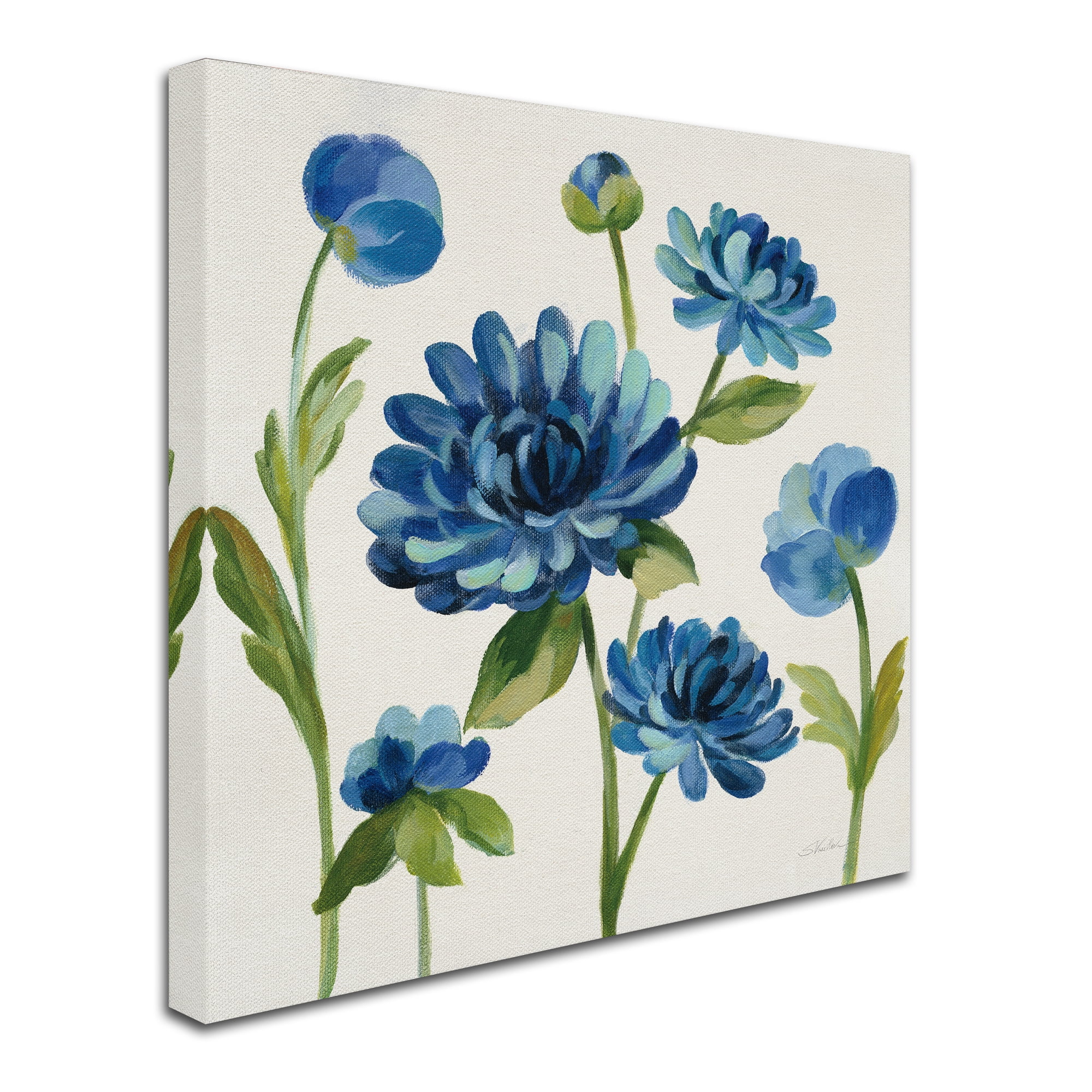 Trademark Fine Art 'Seaside Garden II' Canvas Art by Silvia Vassileva