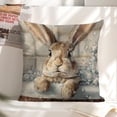 thumbnail image 4 of Rabbit bathtub bubbles Linen toss pillowcase Decoration pillowcase Gift preferred 24x24" Cushion cover 2 set Sofa pillowcase Sofa bedroom living room car, 4 of 4