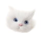 thumbnail image 1 of Cabeza De Gato De Simulación Modelo Animal Lindo Broche De Gato De Plástico Accesorio De Bricolaje, 1 of 9