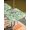 White Green Light Green, variant on Outdoor Tablecloth with Umbrella Hole and Zipper, St. Patrick's Day Rectangle Table Cloth 54x80 Inch Waterproof Tablecloth, Spring Green Lucky Leaf Harps Hats Picnic Table Cover for Patio Camping