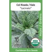 Kale Lacinato Organic Seeds