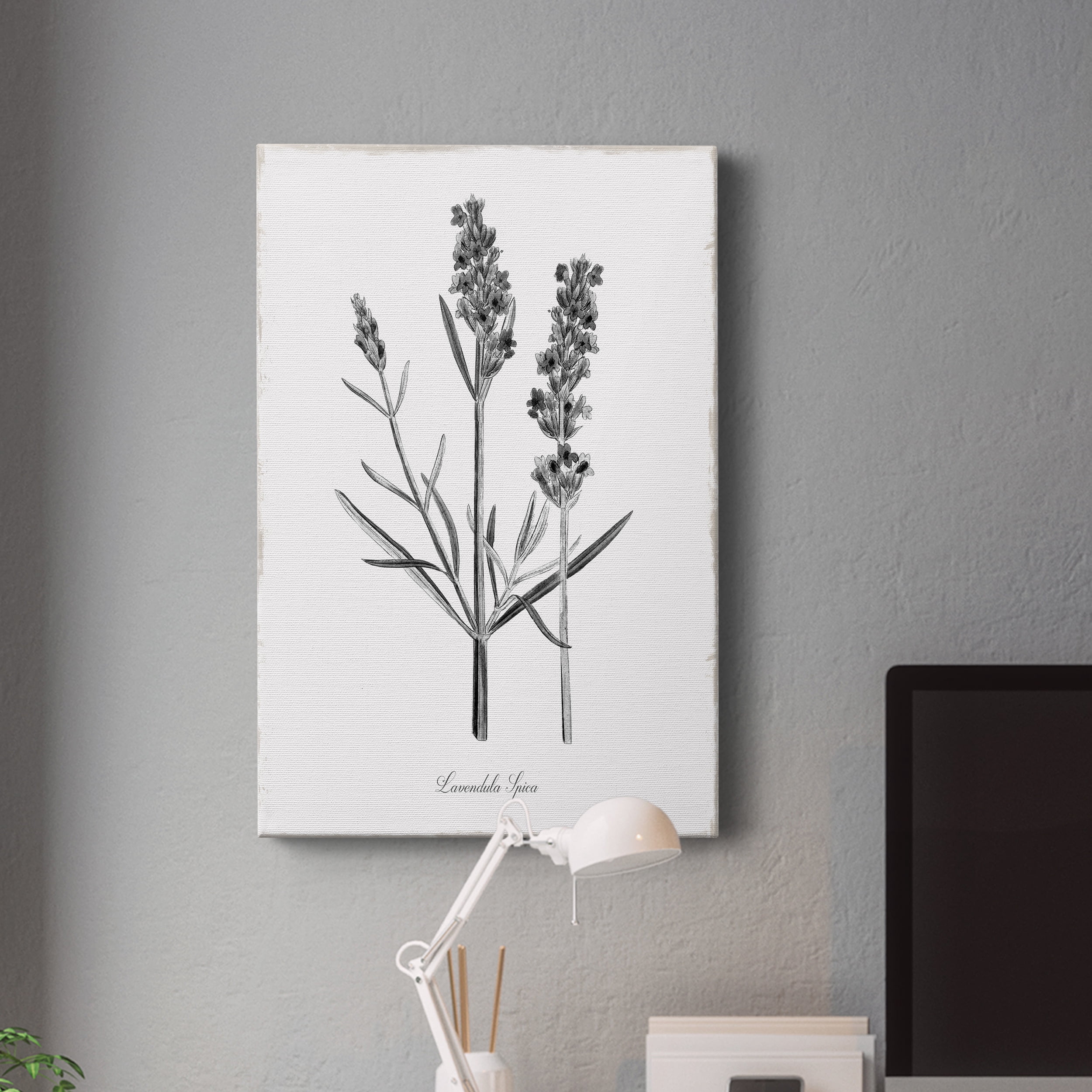 Simply Lavender Premium Gallery Wrapped Canvas - Ready to Hang - 32 x 48