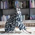 thumbnail image 3 of HQREA Winter Dog Coats Fashion Thick Warm Fluffy Fleece Onesie Outfit for Italian Greyhound, 3 of 6
