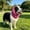 Hot Pink, variant on Dog Ear Muffs Noise Protection, Dog No Shake Ear Muffs Noise Protection Firework Thunder Vacuum, Thickened Soft Elastic Neck Head Cover Noise Cancelling, Adjustable for Grooming Bathing & Swimming