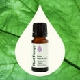 thumbnail image 3 of Plant Therapy Balm Mint Bush Essential Oil 10 mL (1/3 oz) 100% Pure, Undiluted, Natural Aromatherapy, 3 of 8