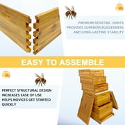 Jacgood 5 Box Bee Box for Beekeeping,Langstroth beehive with 2 Deep Boxes & 3 Super Boxes without Frames