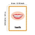 thumbnail image 4 of 15-Card Montessori Flash Cards Set - Help Kids Learn 28 Body Parts & Improve Cognitive Skills!, 4 of 4