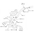 thumbnail image 2 of [31025-AN005]HKS Exhaust - Hi-Power SpecR.HKS SUPERIOR specR R35 VR38DETT GT-R, 2 of 2