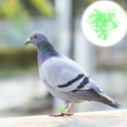 thumbnail image 3 of 100 Pcs Practical Pigeon Foot Rings Pigeon Leg Bands Rings Identification Rings, 3 of 7