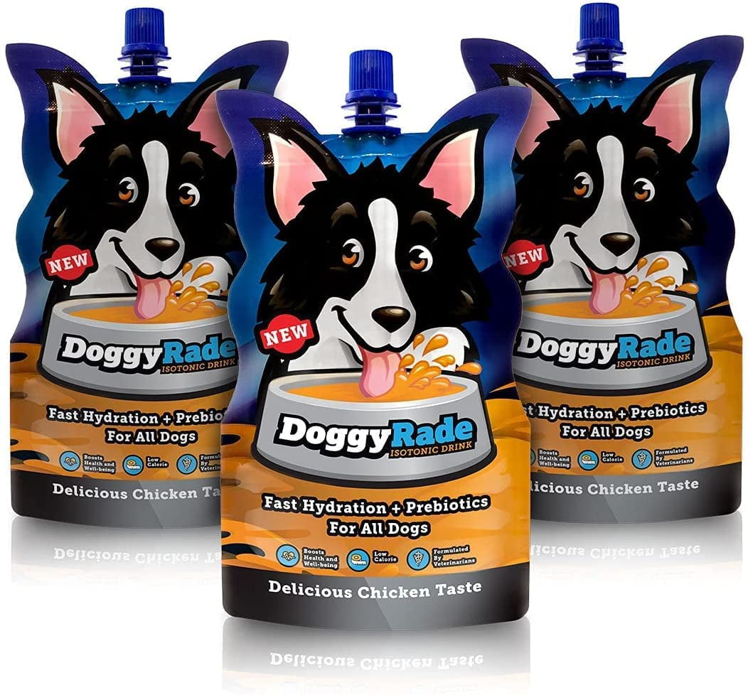 Can You Give A Dog Electrolytes