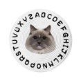 thumbnail image 4 of Sentmoon Bathroom Carpet Area Rug Living Room Customized Pet Pictures Crystal Velvet Carpets Around The Living Room and Bedroom Washable Cats and Dogs Gift Items, 4 of 5