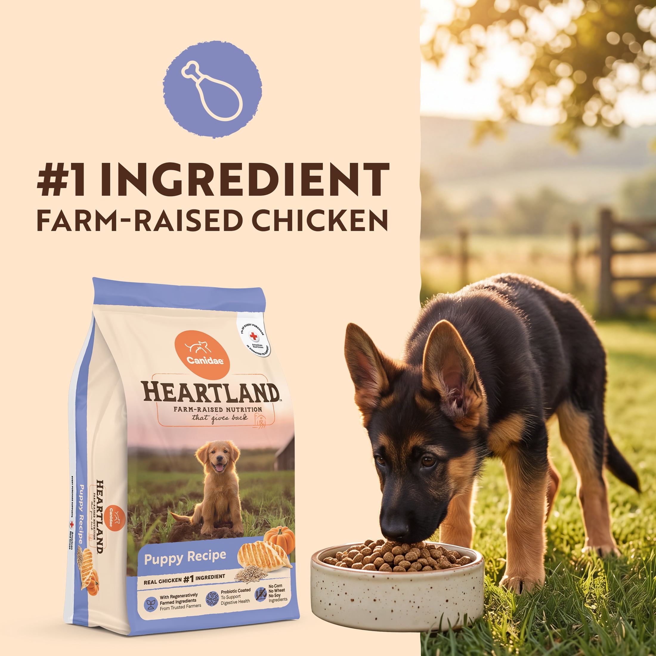 Canidae Heartland Farm-Raised Chicken & Ancient Grains Puppy Recipe, 10.5 lb. Bag