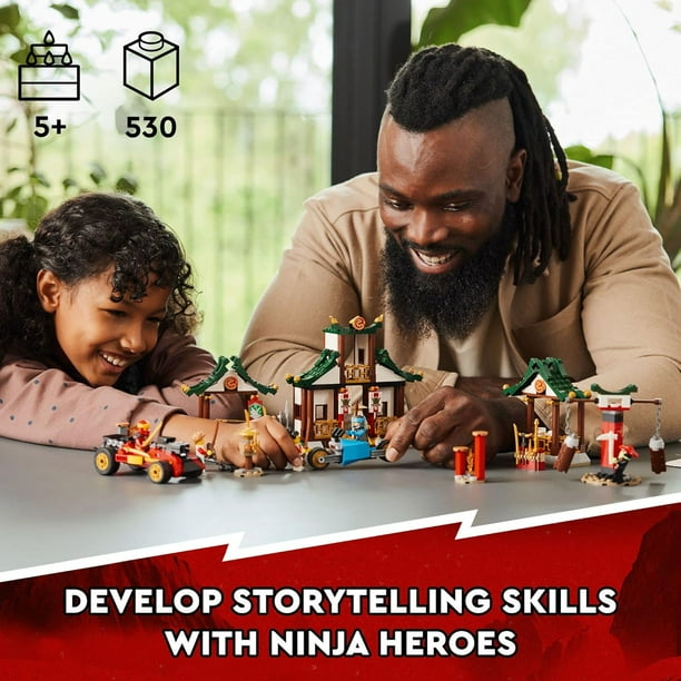 LEGO Ninjago Interlocking Block Building Set, 530 pieces - Walmart