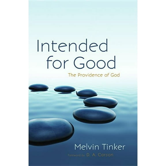 Intended for Good (Paperback)