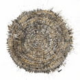 thumbnail image 2 of Gonzalez, Roberto 26x26 Black Ornate Wood Framed with Double Matting Museum Art Print Titled - Mysterious Tree Ring, 2 of 4