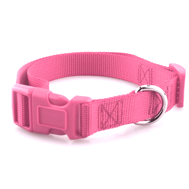 Carhartt Pet Fully Adjustable Webbing Collars for Dogs, Reflective