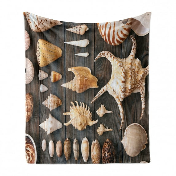Seashells Soft Flannel Fleece Throw Blanket, Seashell Background Still Life Spiral Wooden Table Rural Rustic Country Theme, Cozy Plush for Indoor and Outdoor Use, 50" x 70", Multicolor, by Ambesonne