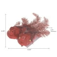 thumbnail image 4 of Lot De 2 Pinces À Cheveux Cardinales Pailletées (Rouge) - Lot De 6, 4 of 4