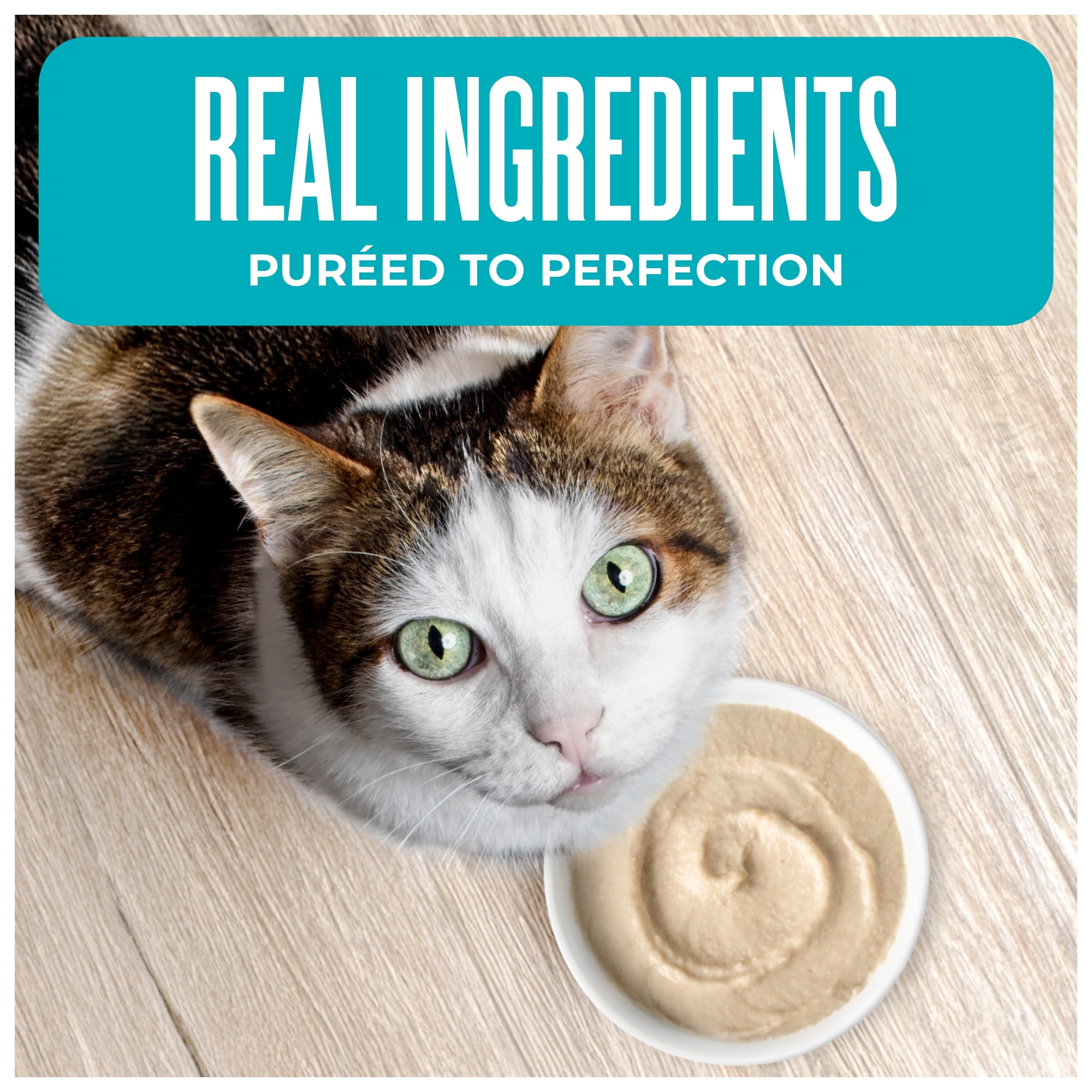 Tiki Cat Born Carnivore Wet Cat Food, Mousse, Chicken Recipe in Broth, 2.4 oz. Pouch