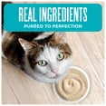 thumbnail image 2 of Tiki Cat Born Carnivore Wet Cat Food, Mousse, Chicken Recipe in Broth, 2.4 oz. Pouch, 2 of 9