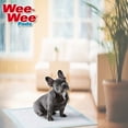 thumbnail image 4 of Four Paws DELUXE Wee Wee Pads para perros estándar y pequeños, ayudas de entrenamiento Sistema de armadura de piso a prueba de fugas 36 Count Wee Wee Pads WWPD-DLX, 4 of 7
