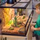 thumbnail image 4 of VERDANVERSE Artificiales Para Terrario Con Fácil Limpieza Y Para Reptiles, 4 of 6