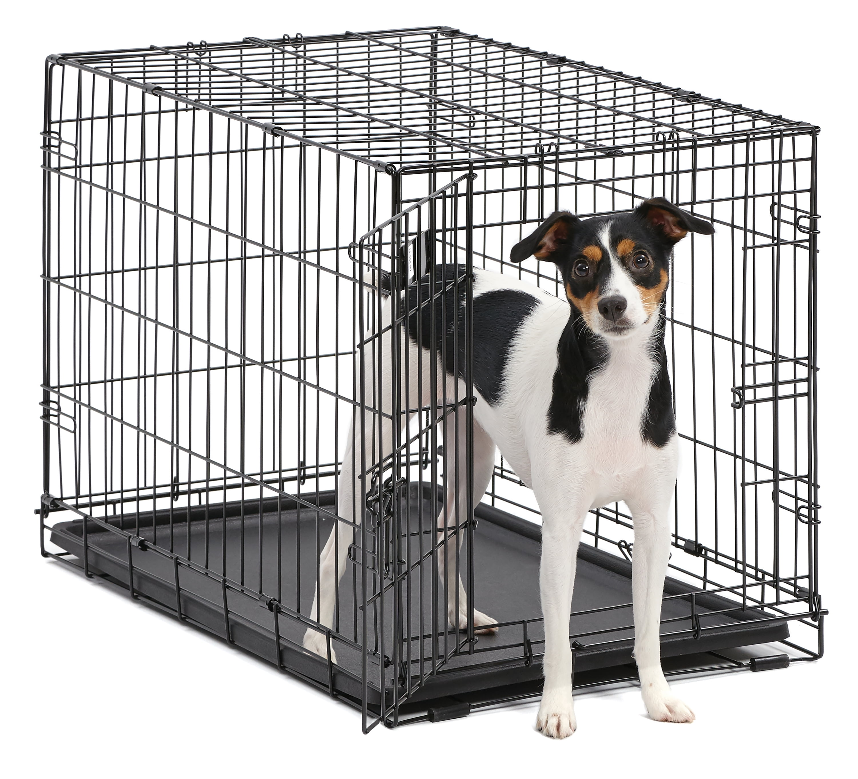 Photo 1 of `MidWest Single Door iCrate Metal Dog Crate, 30"