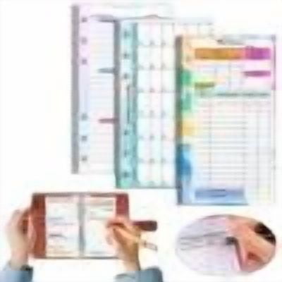 A6 Colorful Weekly Monthly Planner Calendar Inserts 6 Hole Expense Budget for A6 Binder Cover, Money Envelopes Organizer for Wallet, Cash Saving(1PC)