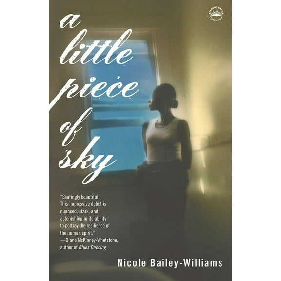 A Little Piece of Sky : A Novel (Paperback)