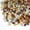 Colorful, variant on 5 lbs Pea Gravel for Plants, Aquarium, Fish Tank, 3/8 inch Decorative Pebbles for Indoor Plants, Succulent, Bamboo, Vase, Drainage Rocks for Potted Plants, Top Dressing