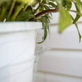 thumbnail image 6 of Curtis Wagner 10" Clear Hanging Basket Drip Pan Saucer (10-Pack), 6 of 9
