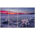 thumbnail image 2 of Colorful Cold Frosty Morning, 2 of 3