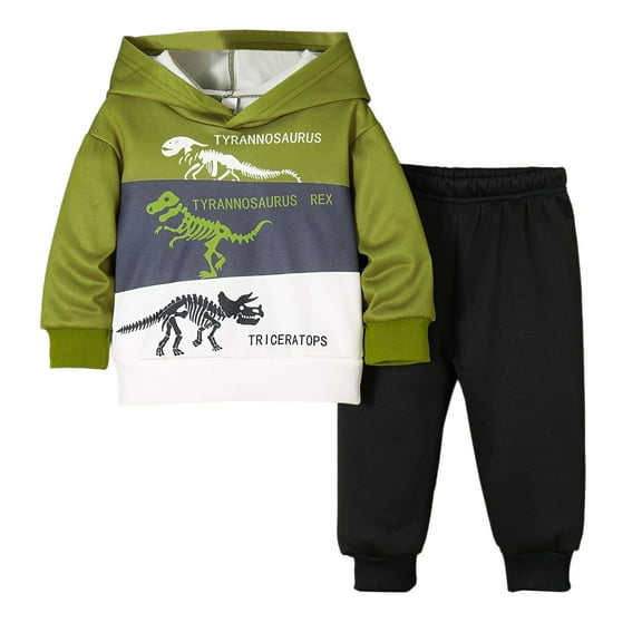 Kiijoy Newborn Boys Casual Outfits Dinosaur Print Long Sleeve Hoodie and Pants Sweatsuit