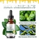 thumbnail image 4 of Carlyle Aceite Orgánico De Orégano 60ml, 4 of 9