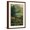 Brown Frame, variant on Art.com Adirondack Mountains, Lake Placid, Railroad Poster Art Print, 16" x 24"
