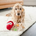 thumbnail image 4 of Juguetes de cubo de fideos suaves, juguete para olfatear perros, juguetes divertidos para olfatear perros, juguete para olfatear perros, diseño elevado Jadeshay  A, 4 of 8