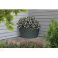 thumbnail image 7 of Algreen Plastic Pot Planter, 7 of 7