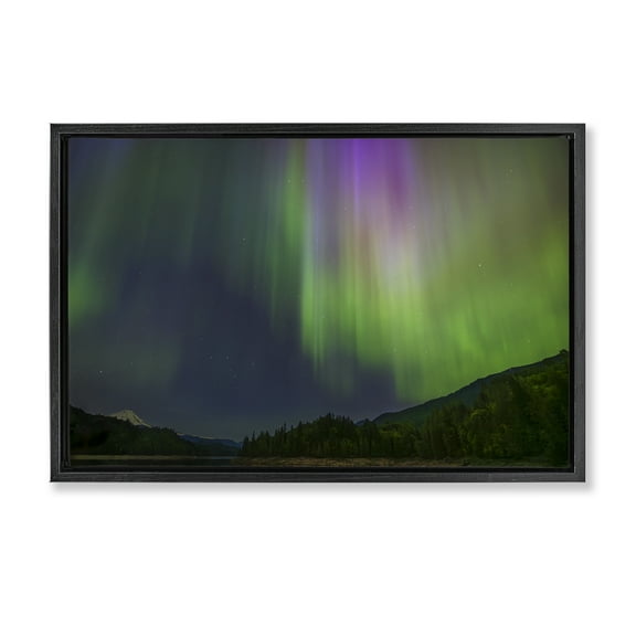 Stupell Industries Green Glowing Northern Lights Landscape & Nature Photography Black Floater Framed Canvas Art Print Wall Art, 25 x 17