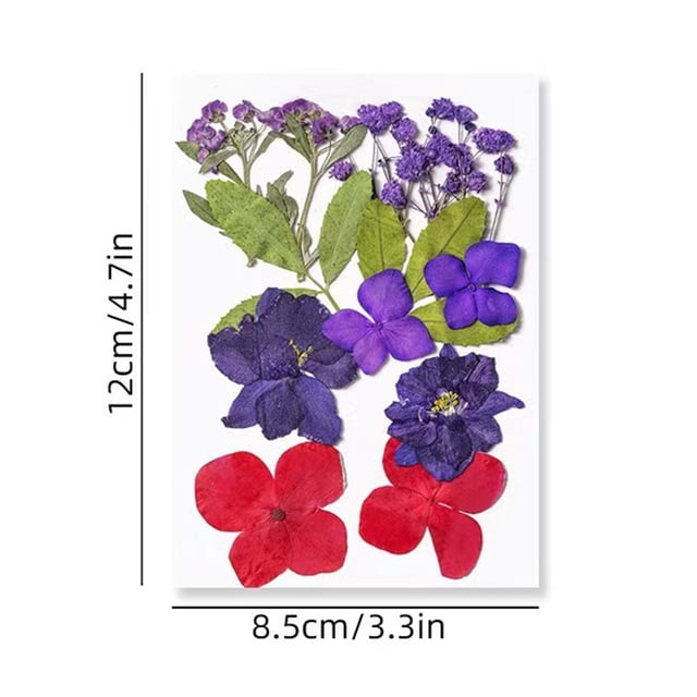 Colorful Natural Dried Flowers and Embossed Decorative Set